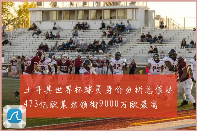 土耳其世界杯球员身价分析总值达473亿欧莱尔领衔9000万欧最高