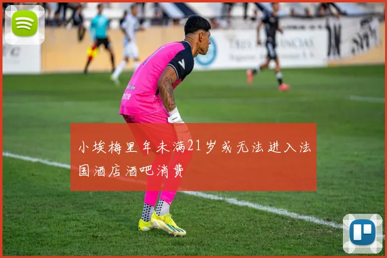 小埃梅里年未满21岁或无法进入法国酒店酒吧消费